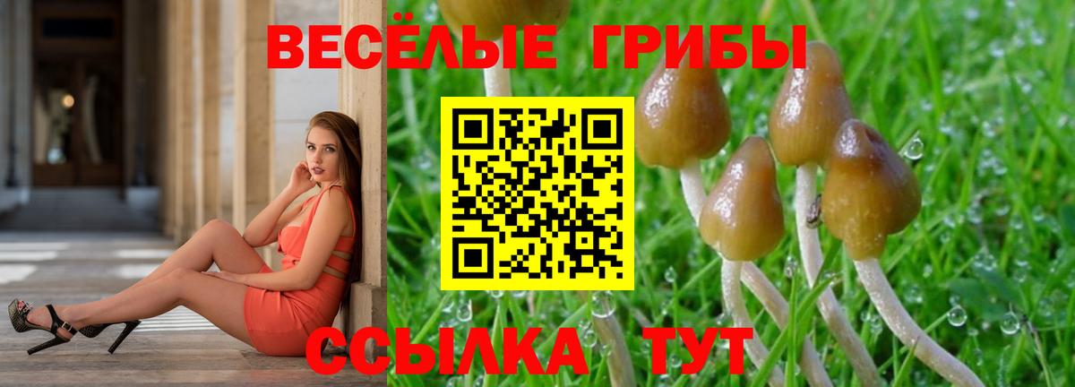 Псилоцибиновые грибы MAGIC MUSHROOMS Старая Купавна